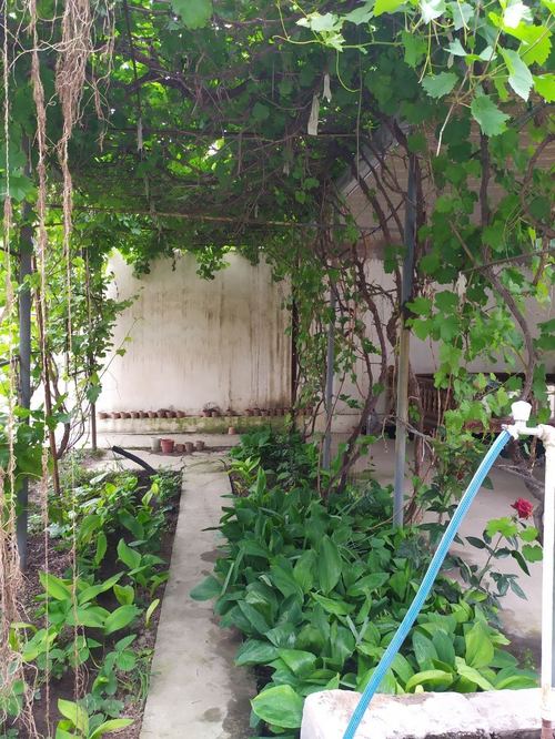 House for sale 3.8 sotok