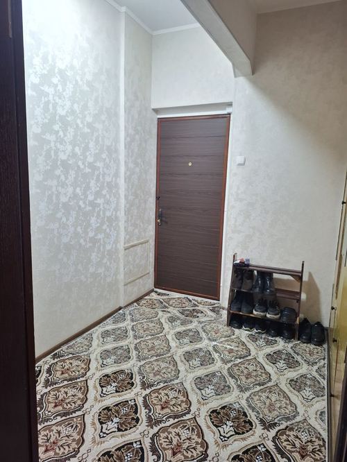 Qora kamich, apt 3/4/4