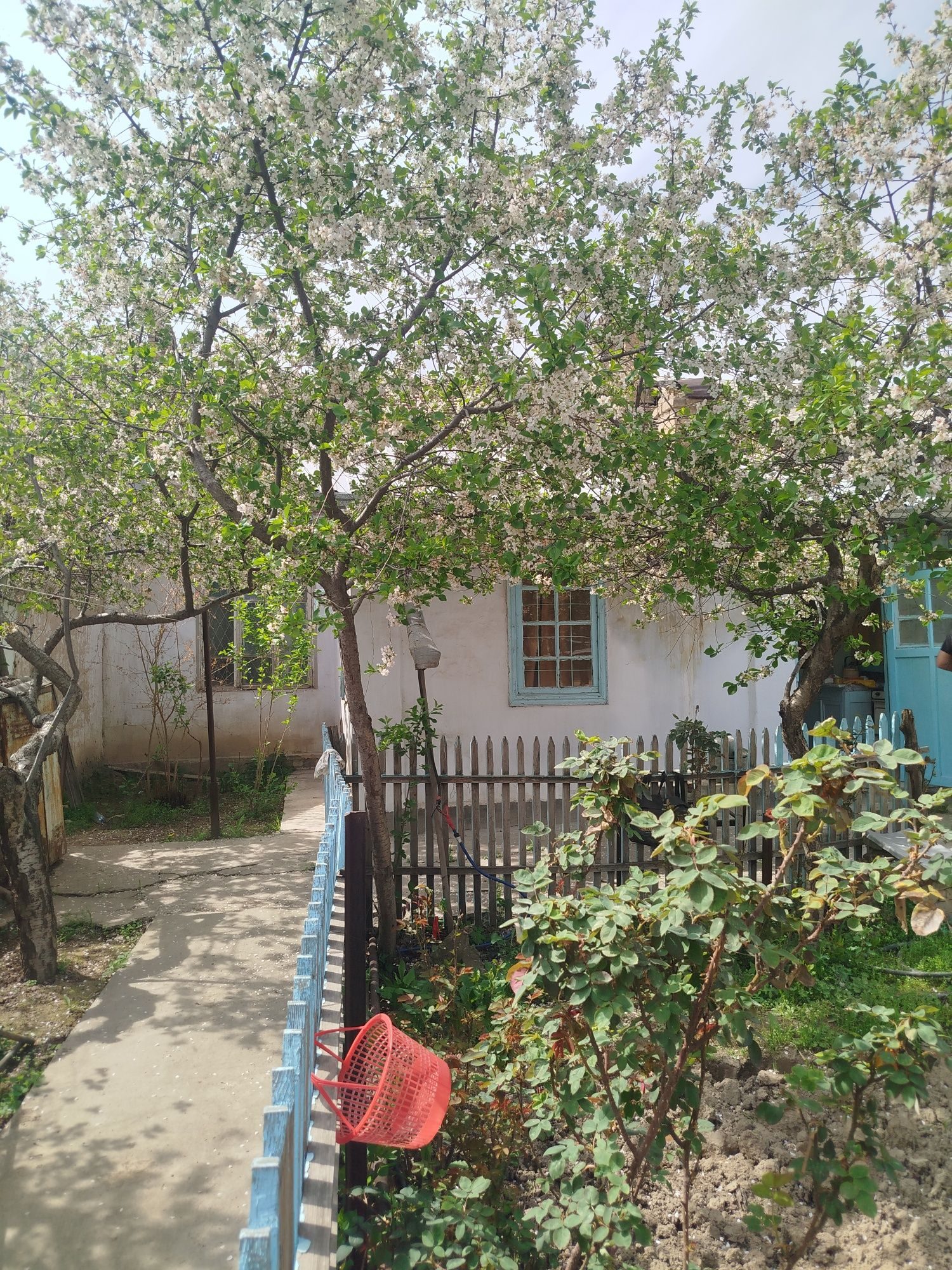 1-xonali uy, 32 m², Toshkent, Yashnobod tumani, sotuvga