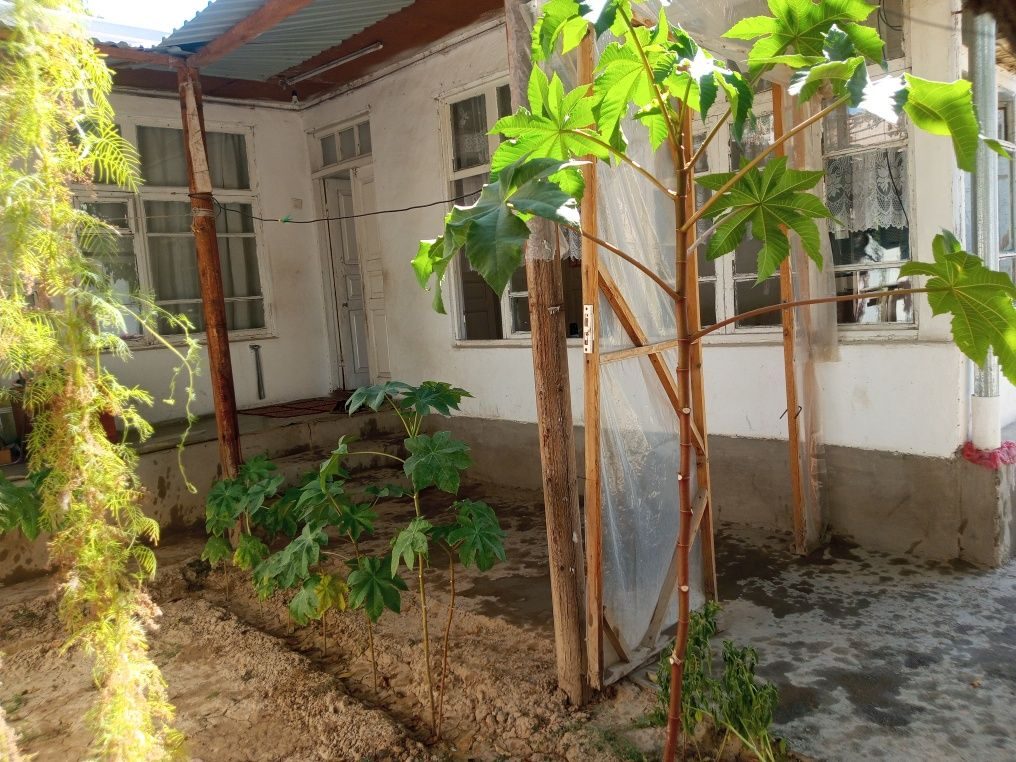 5-room house, 3 m², Tashkent, Shaykhantakhur District, for sale