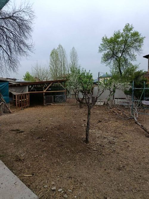 Land for sale in Yashnabad district