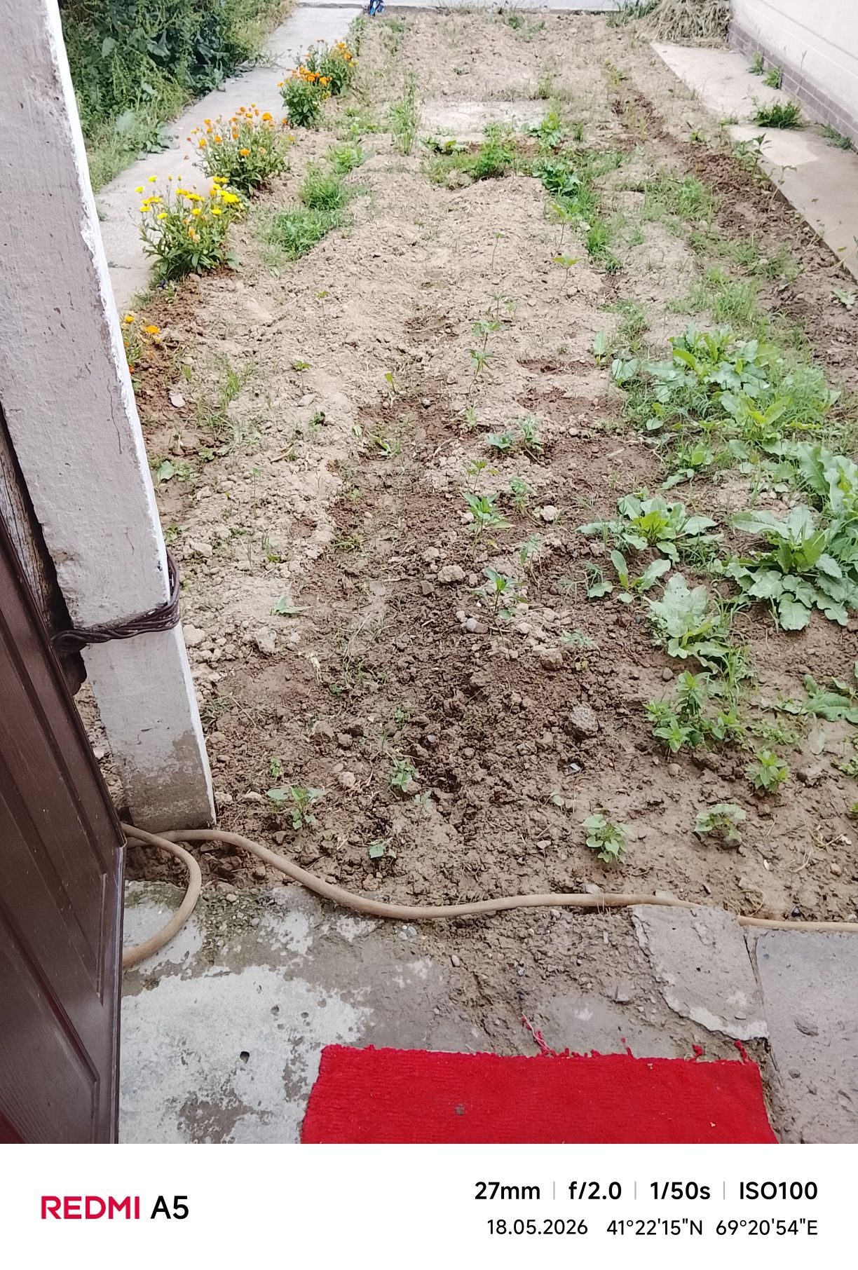 1-room apartment, 100 m², Tashkent, Mirzo Ulugbek District, for rent