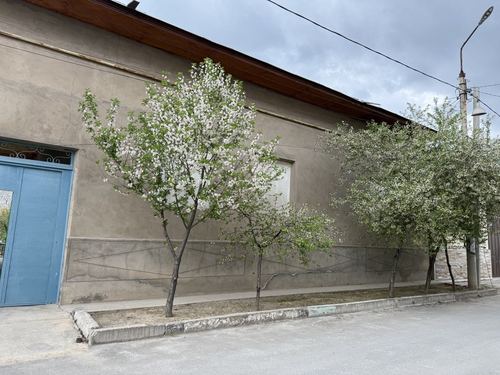Аренда дома, Сергели район