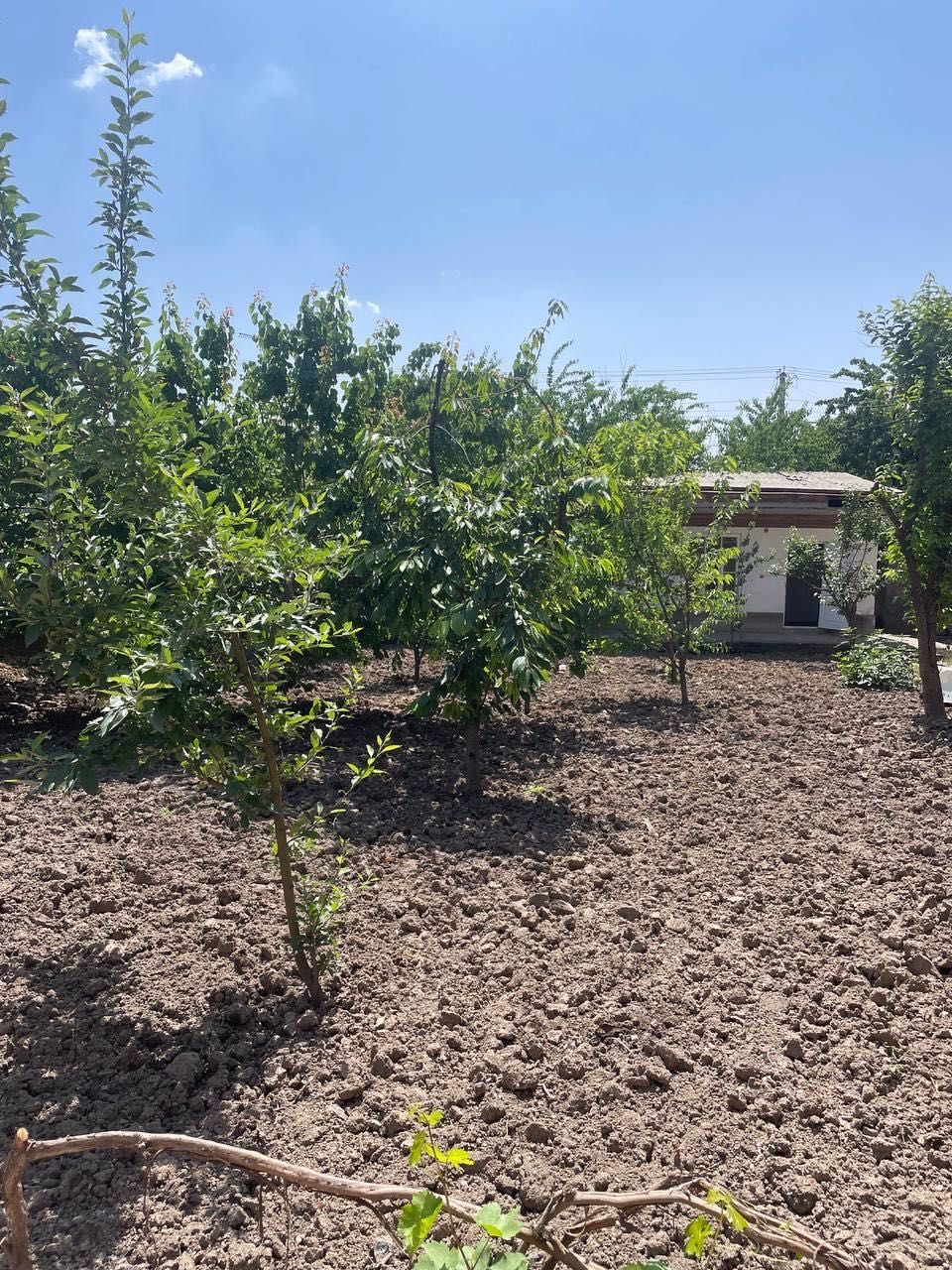 7-xonali uy, 700 m², Toshkent, Yashnobod tumani, ijaraga