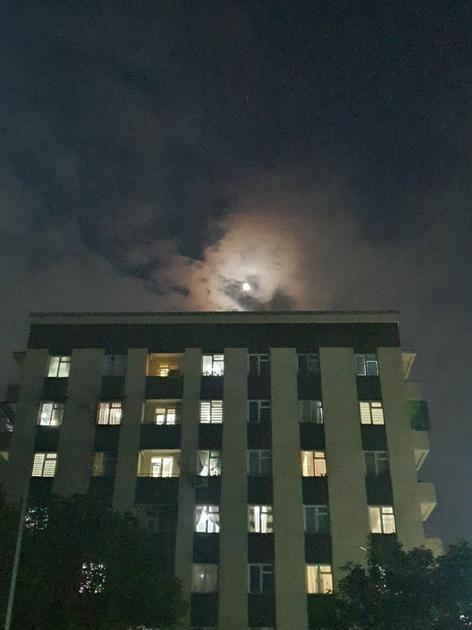 1-xonali kvartira, 39 m², Toshkent, Yunusobod tumani, sotuvga