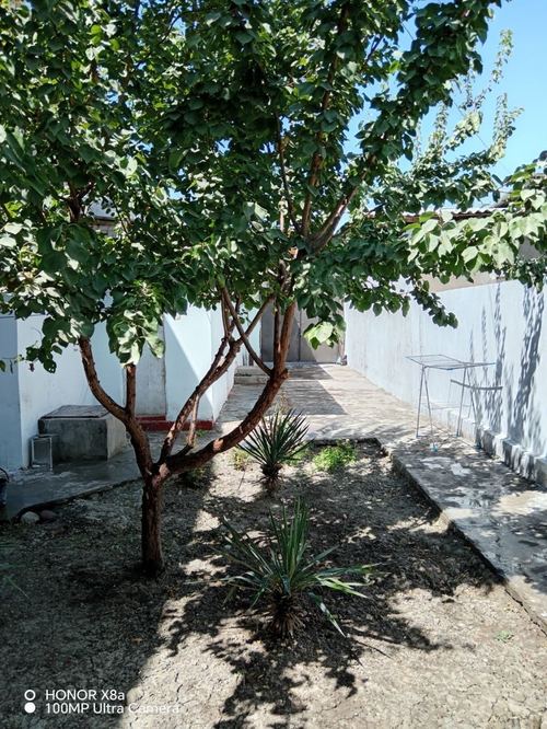 Hovli ijaraga beriladi