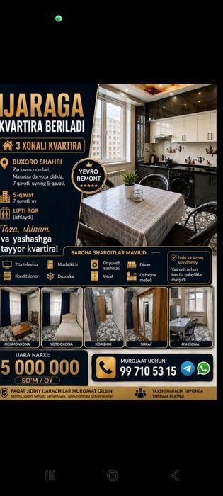3хохоли квартира