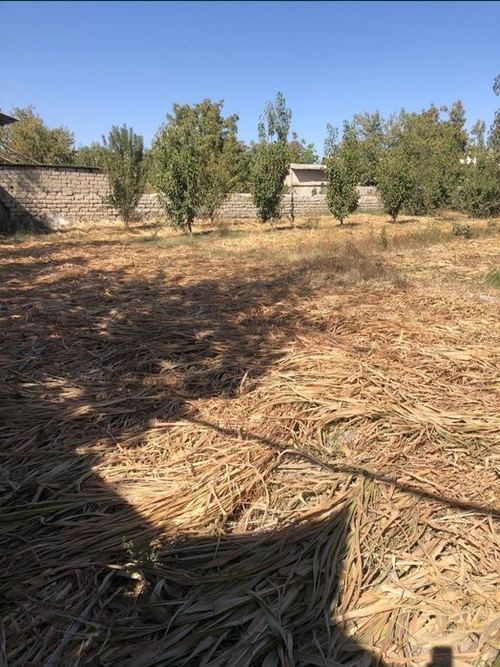 4-комнатная дача, 700 м²