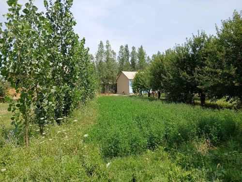 4-room dacha, 2000 m²