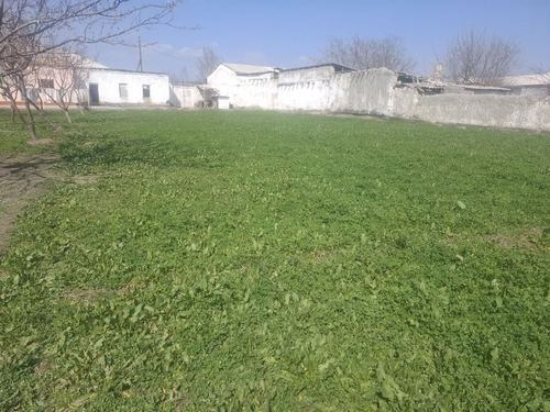 Yer uchastka 10 sotix