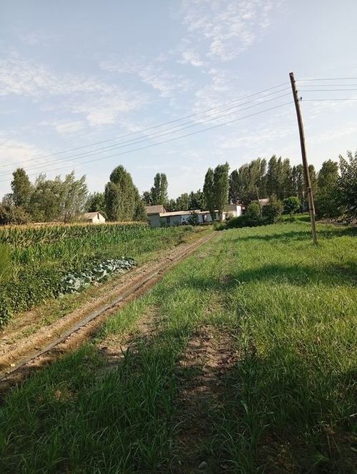 Srochno 10 sotix yer uchastkasi sotiladi