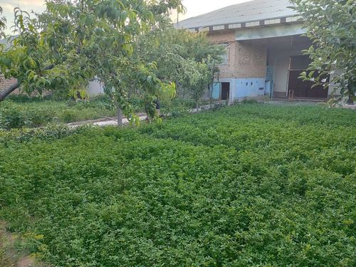 3-xonali dacha, 600 m²