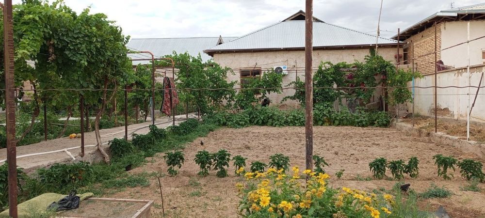 Dacha sotiladi meraj 2