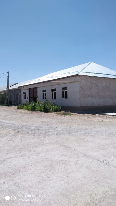 5-room house, 600 m²