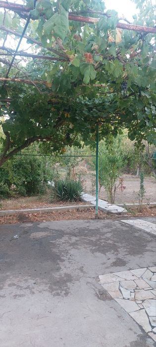 4-room dacha, 6 m²
