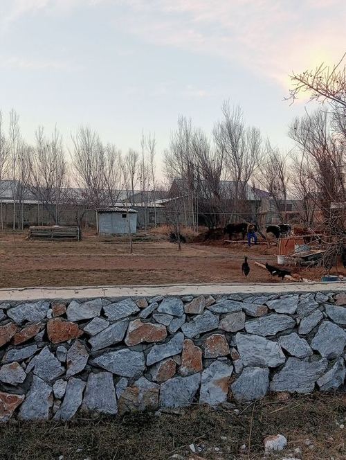 Ката бозорни якнидан