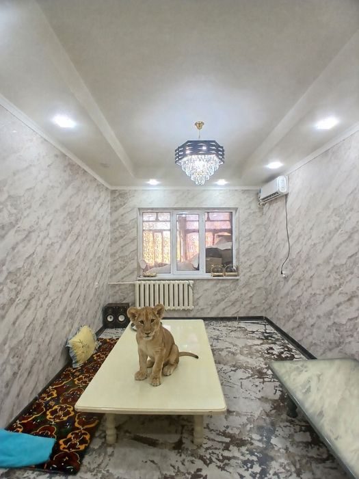 3-комнатная квартира, 84 м², Навои, на продажу