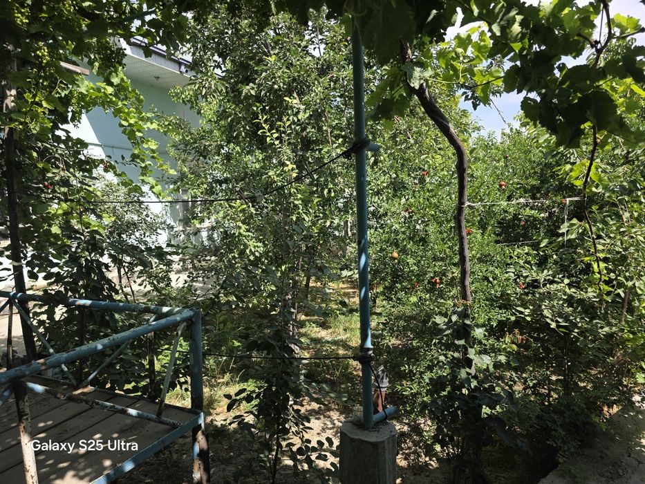 4-комнатный дом, 5500 м², Навои, на продажу