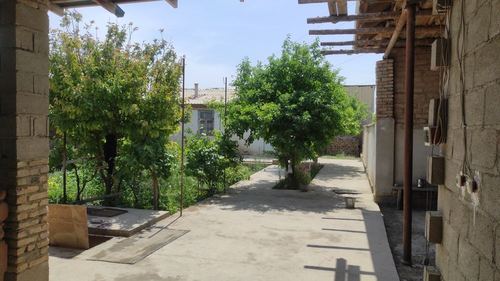 3-комнатный дом, 600 м²
