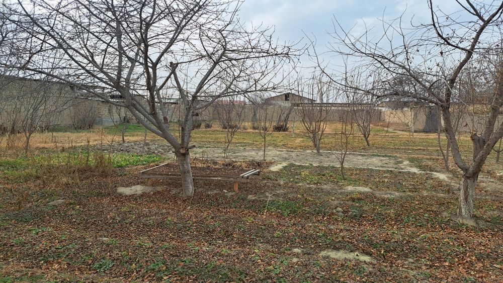 5-комнатная часть дома, 2800 м², Навои, на продажу