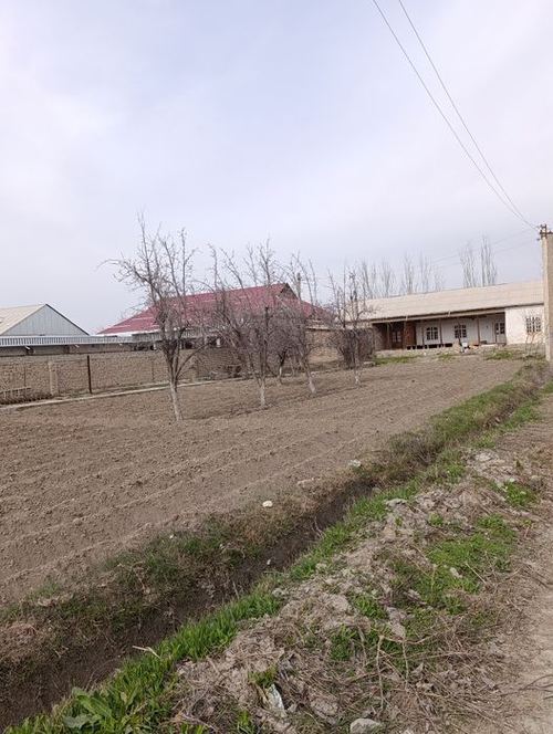 6-комнатная дача, 1500 м²