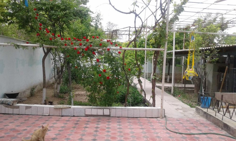 8-комнатный коттедж, 5 м², Навои, на продажу