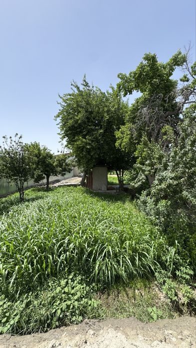 5-room house, 15000 m², Bukhara, for sale