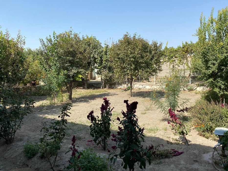 5-room house, 8 m², Bukhara, for sale