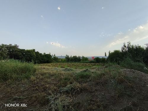 Жондор туманида [20] сотих ер участкаси сотилади — Ҳужжатлари жойида