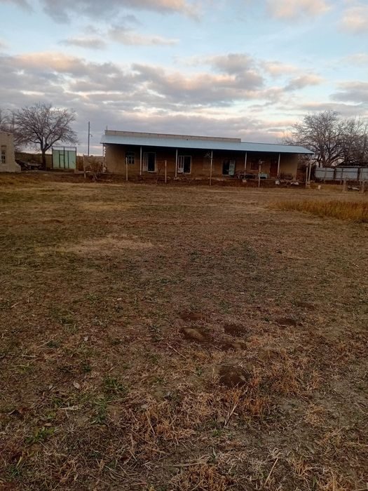 100-room dacha, 2350 m², Вабкент, for sale