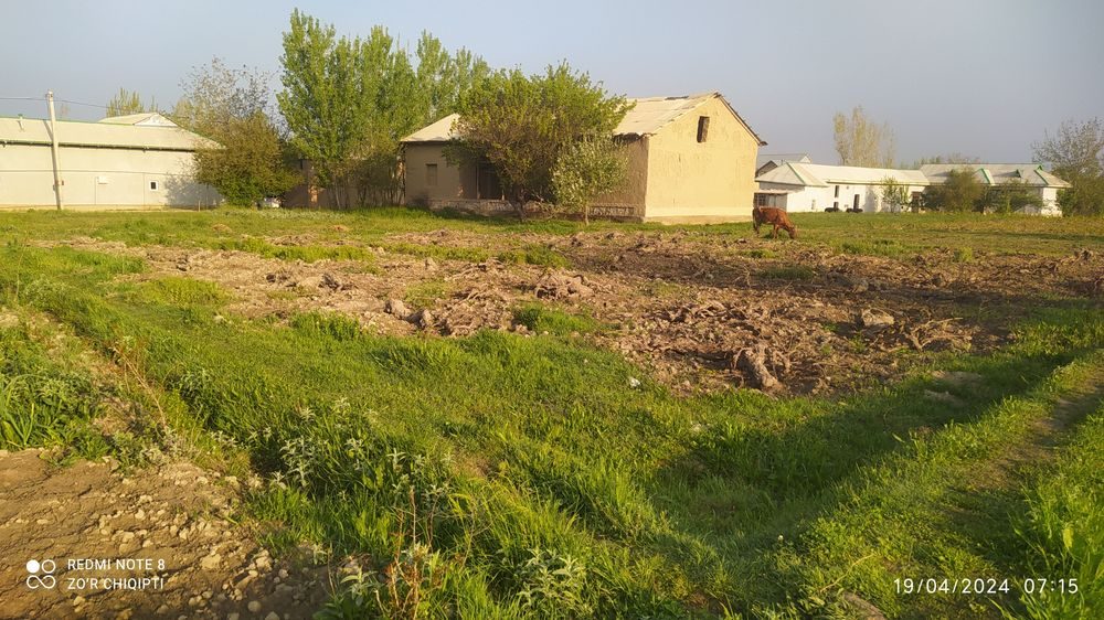 6-xonali dacha, 25 m², Пайарык, sotuvga