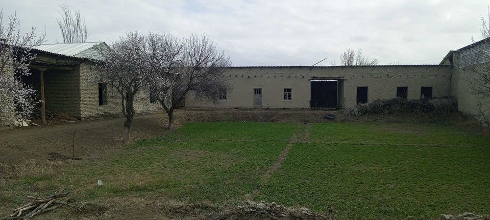 Xovli sotiladi 13 soʻtiq