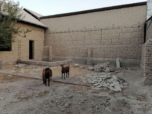 5-xonali uy qismi, 5 m²