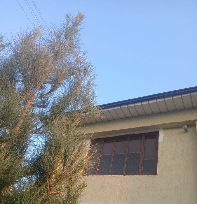 3-xonali kvartira, 100 m², Галаасия, sotuvga
