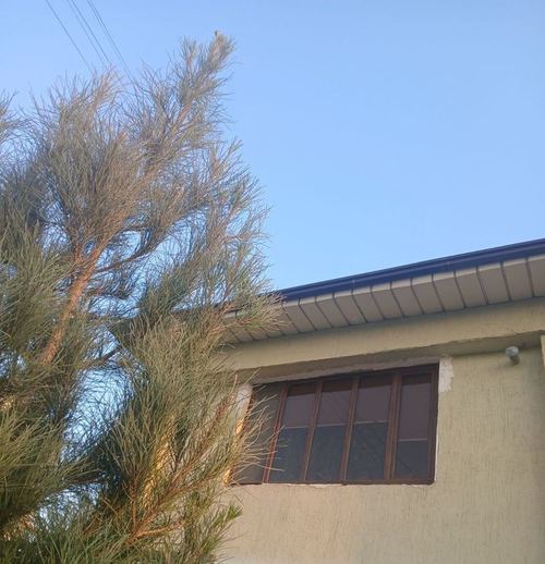 3-xonali kvartira, 100 m²