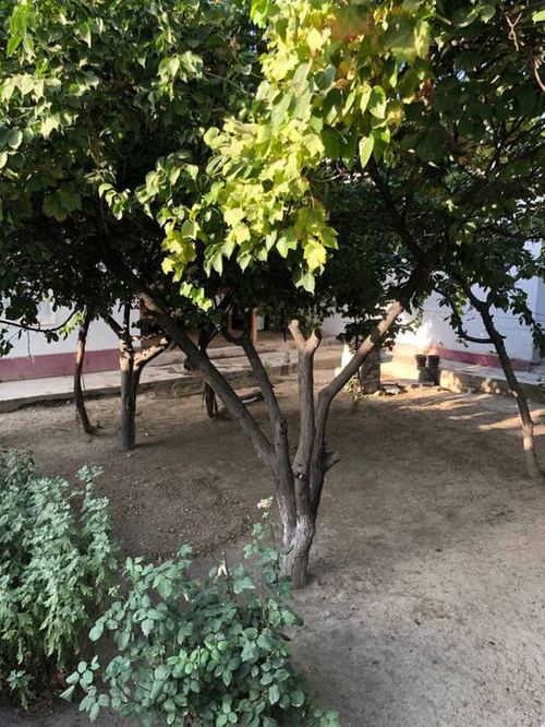 5-комнатный коттедж, 84 м²