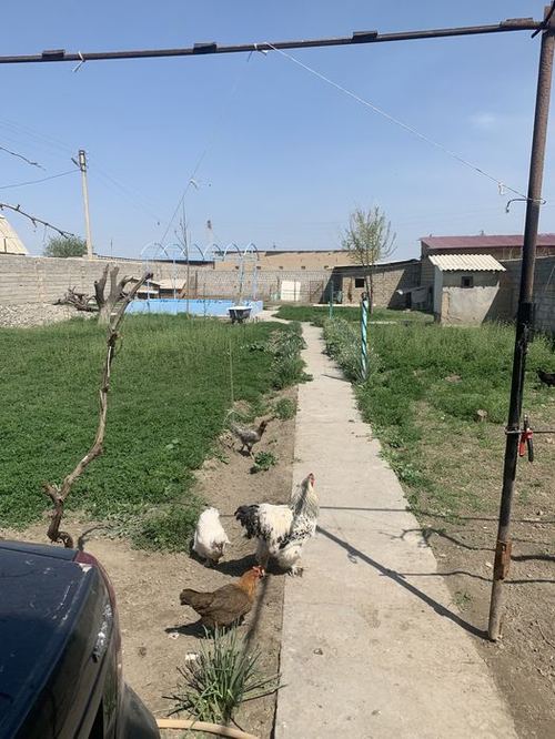 4-комнатная дача, 45 м²