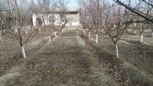 3-xonali uy, 20 m²