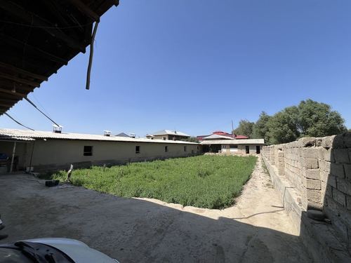 Molxona, ferma sotiladi