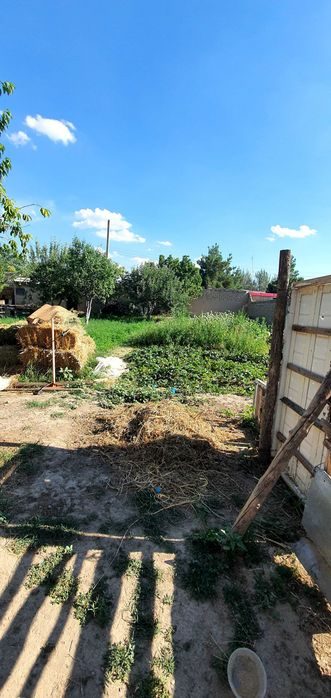 3 сотки зели продоется