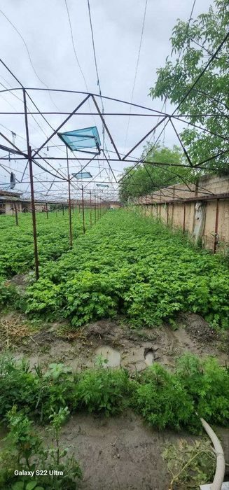 Карши куругида 0.70 сотыхли нотурар бино иншоот