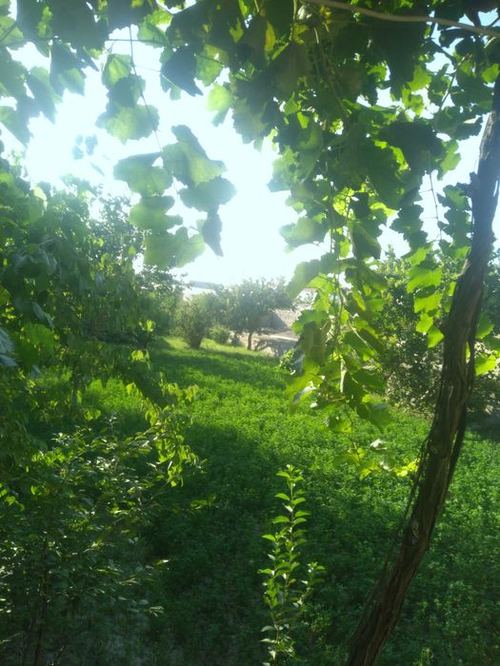 5-room cottage, 1700 m²