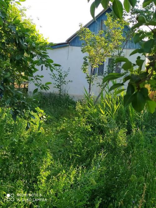 2-room dacha, 10 m²