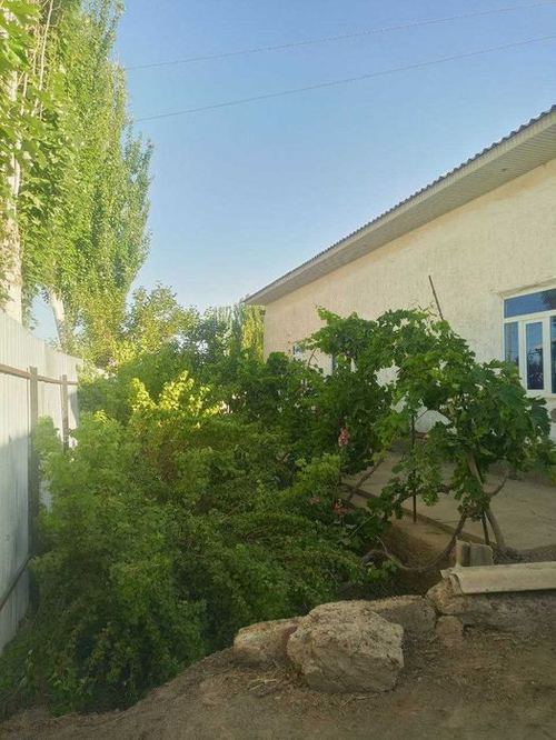 6-xonali kottej, 222 m²