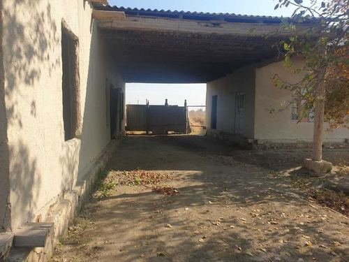 100-комнатный дом, 100 м²