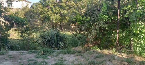 6-room cottage, 600 m²