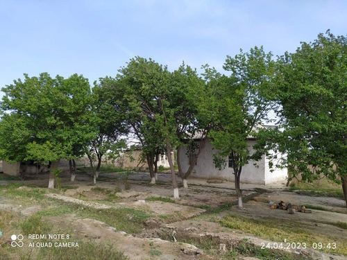 4-room dacha, 16 m²