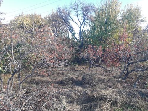 1-room house part, 2000 m²