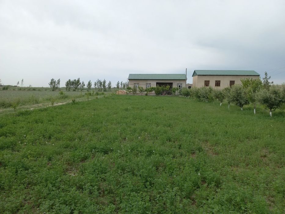 3-room dacha, 1500 m², Ромитан, for sale