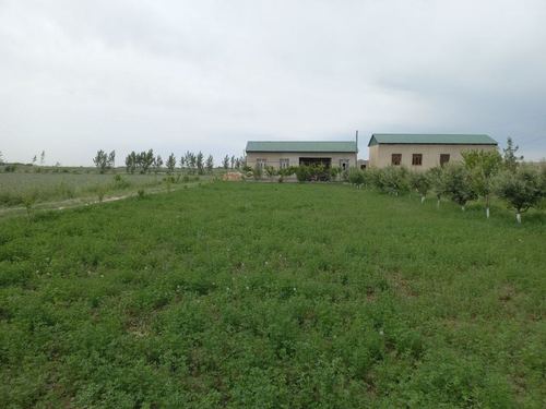 3-room dacha, 1500 m²